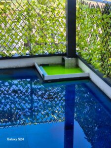 20240805 134339 980x1307 1.jpg