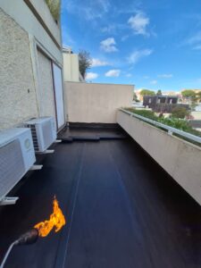 20250319 155131 980x1307 1.jpg