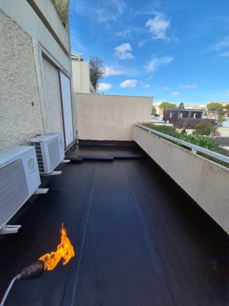 20250319 155131 980x1307 1.jpg