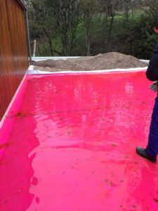 img 1772 980x1307 1.jpg