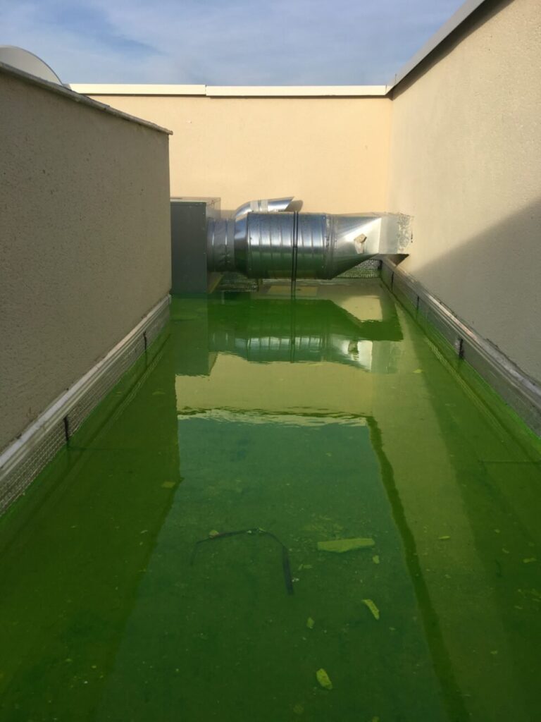 img 3559 980x1307 1.jpg