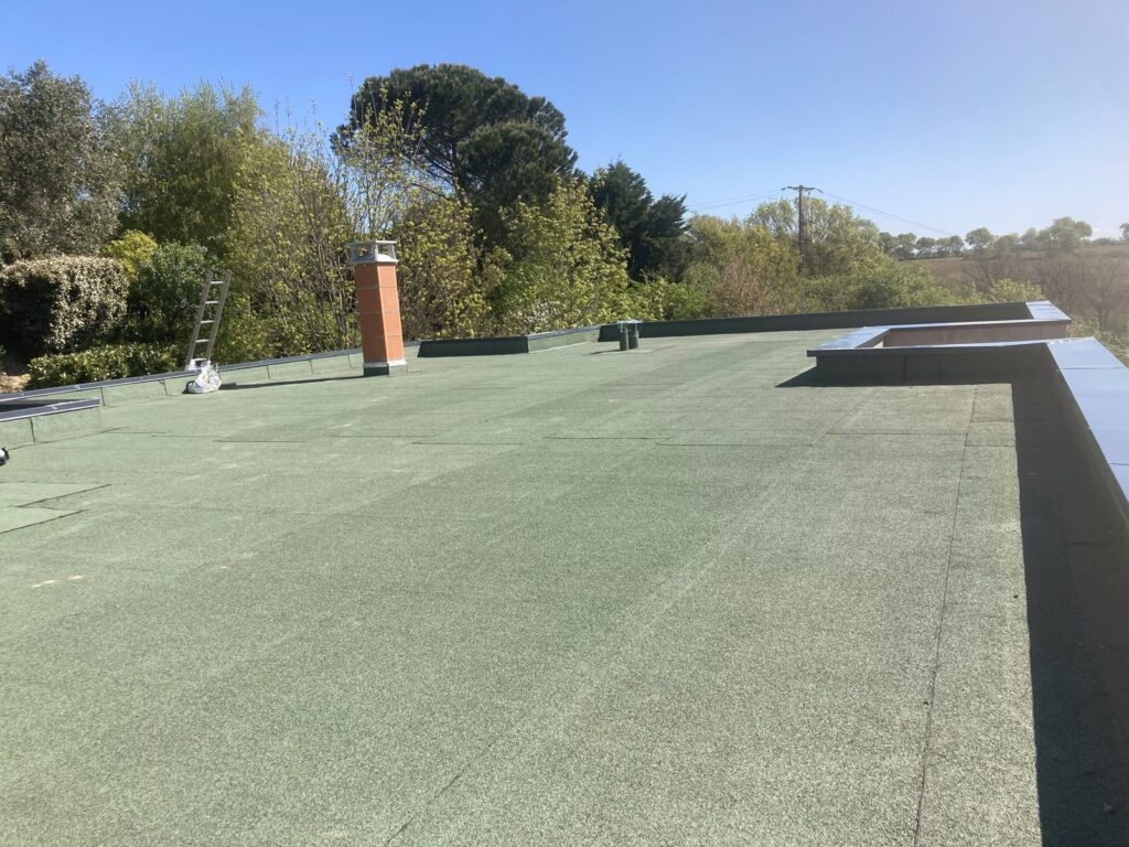 photo 4 scaled 1.jpg